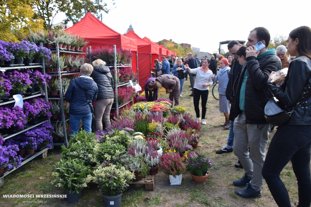 Jesienny piknik przy Wrzosowej