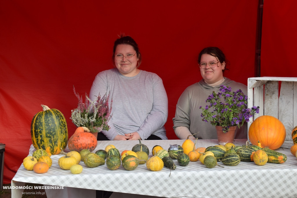 Piknik z lokalnymi produktami przy Wrzosowej
