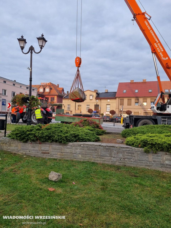 Pomnik Dzieci Miłosławskich już w innym miejscu