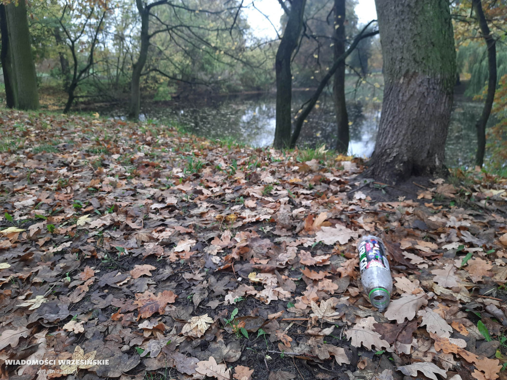 Śmieci zamiast w pojemniku – leżą obok niego