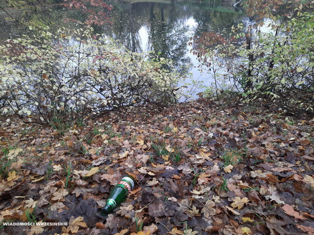 Śmieci zamiast w pojemniku – leżą obok niego