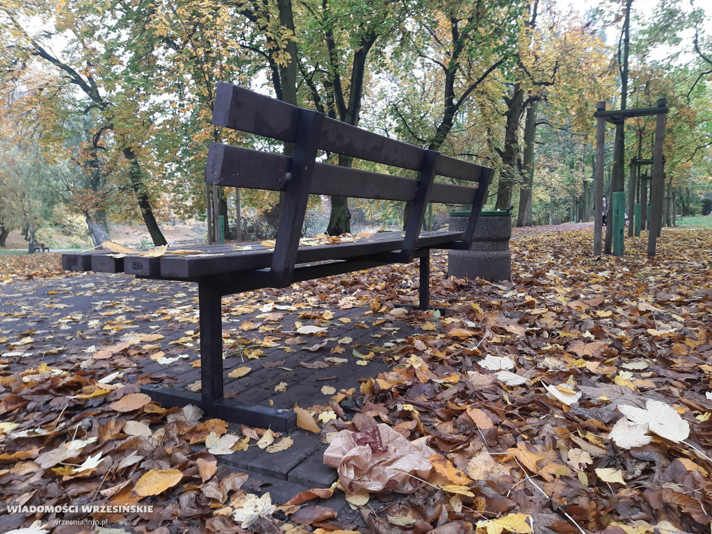 Śmieci zamiast w pojemniku – leżą obok niego