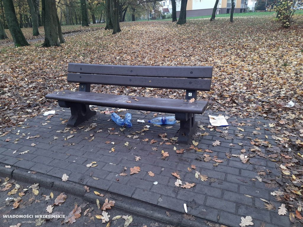 Śmieci zamiast w pojemniku – leżą obok niego