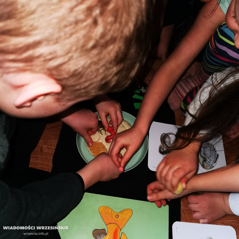 Przedszkole Montessori Nasz Świat we Wrześni