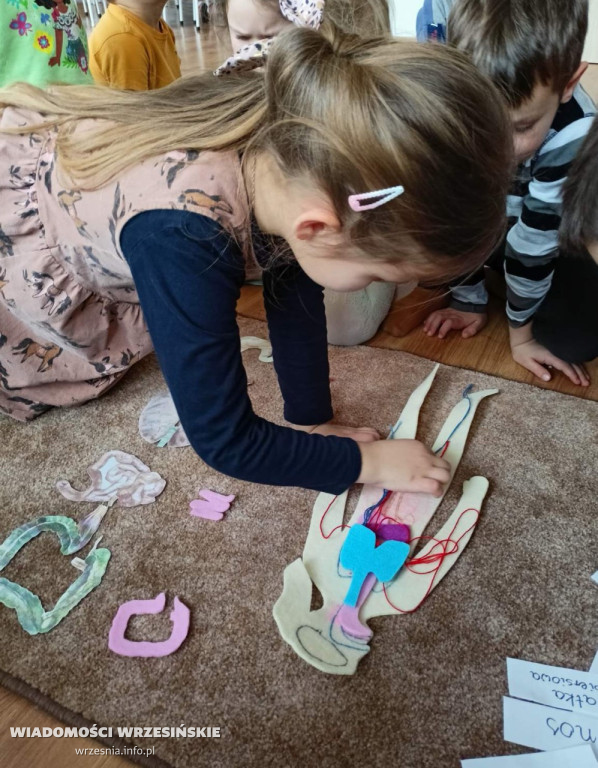 Przedszkole Montessori Nasz Świat we Wrześni