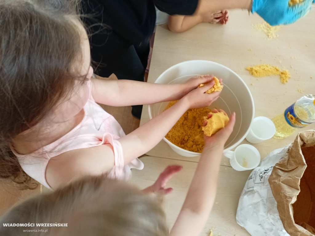 Przedszkole Montessori Nasz Świat we Wrześni