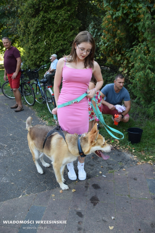 Psi Piknik w parku