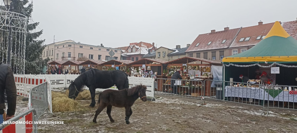 Moc atrakcji, tłumy na jarmarku w Miłosławiu