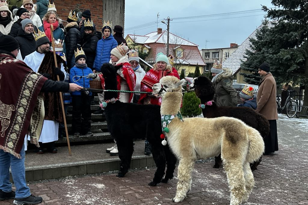 Trzej Królowie na Lipówce. Towarzyszyły im alpaki