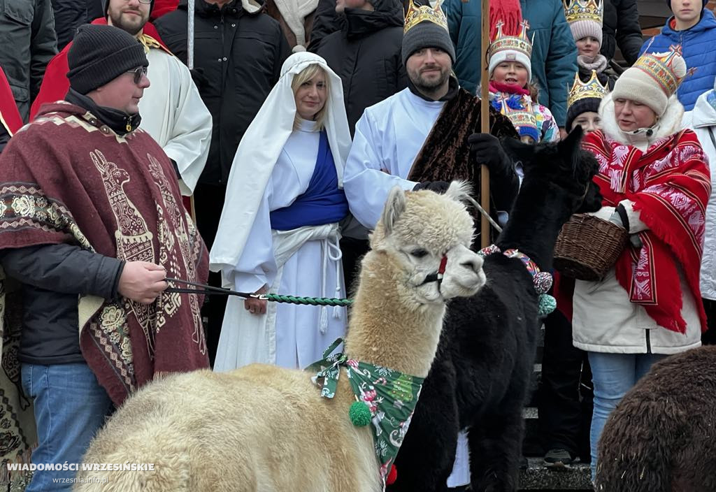 Trzej Królowie na Lipówce. Towarzyszyły im alpaki