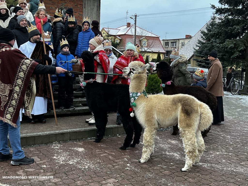 Trzej Królowie na Lipówce. Towarzyszyły im alpaki