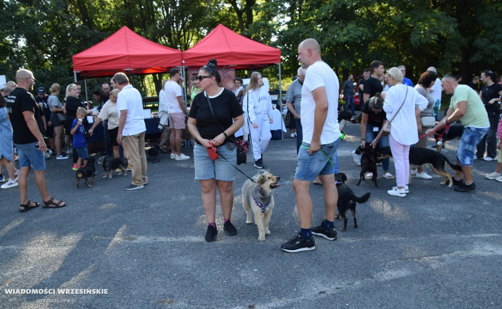 Psi piknik w parku Dzieci Wrzesińskich