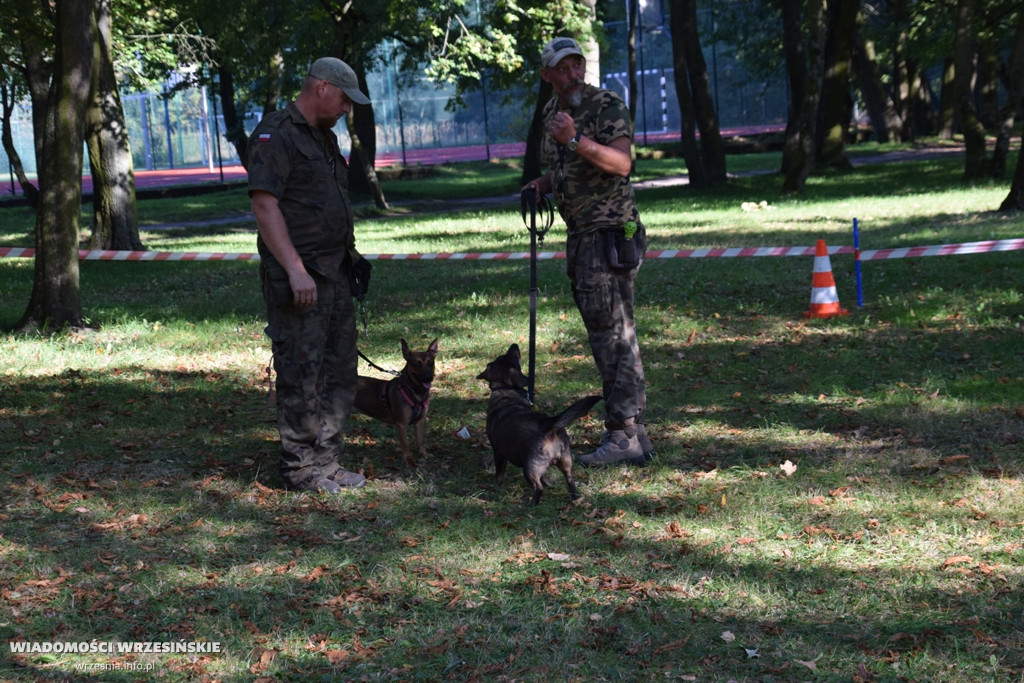 Psi piknik w parku Dzieci Wrzesińskich