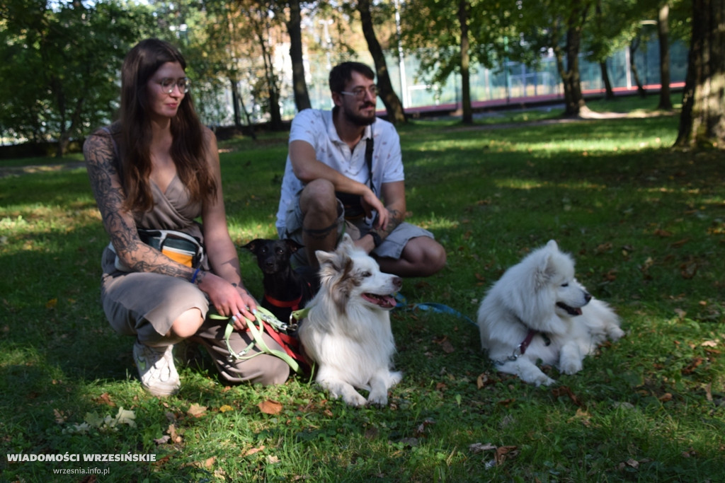 Psi piknik w parku Dzieci Wrzesińskich