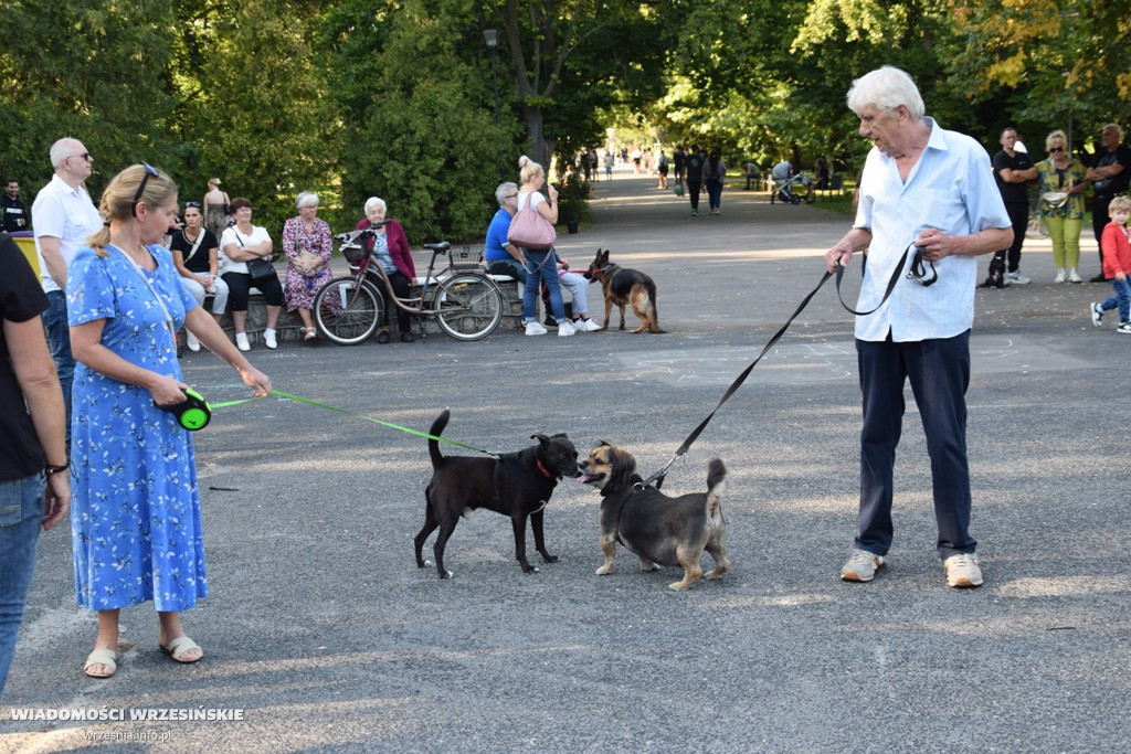 Psi piknik w parku Dzieci Wrzesińskich