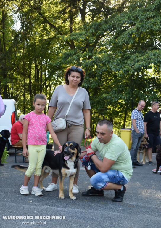 Psi piknik w parku Dzieci Wrzesińskich