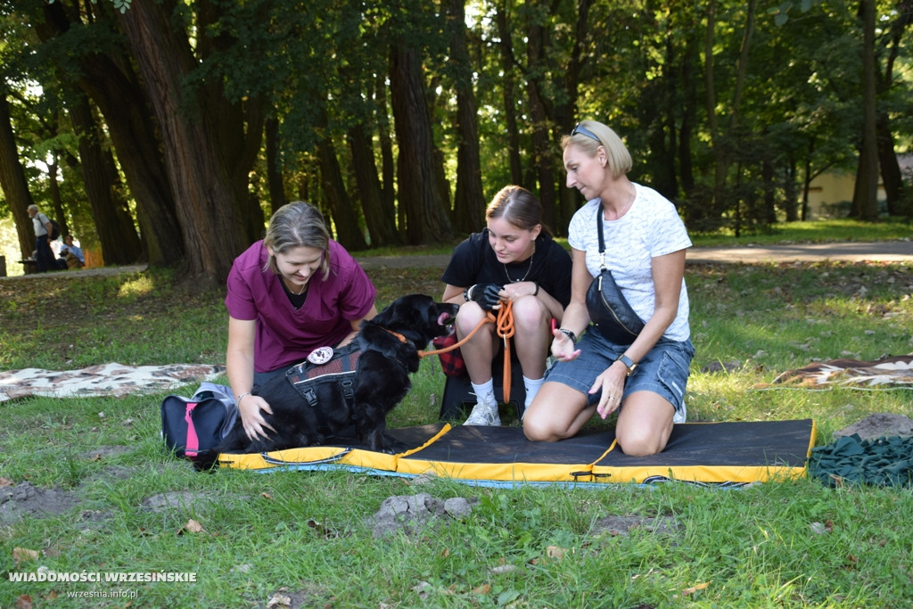 Psi piknik w parku Dzieci Wrzesińskich