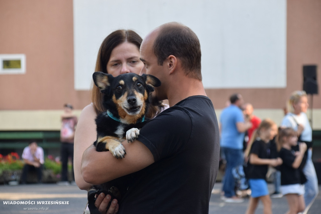 Psi piknik w parku Dzieci Wrzesińskich