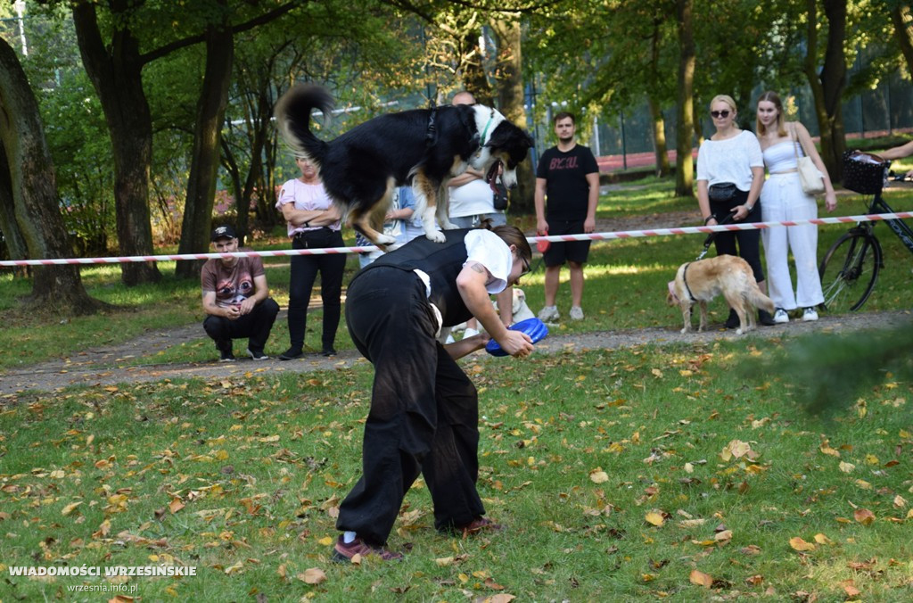 Psi piknik w parku Dzieci Wrzesińskich