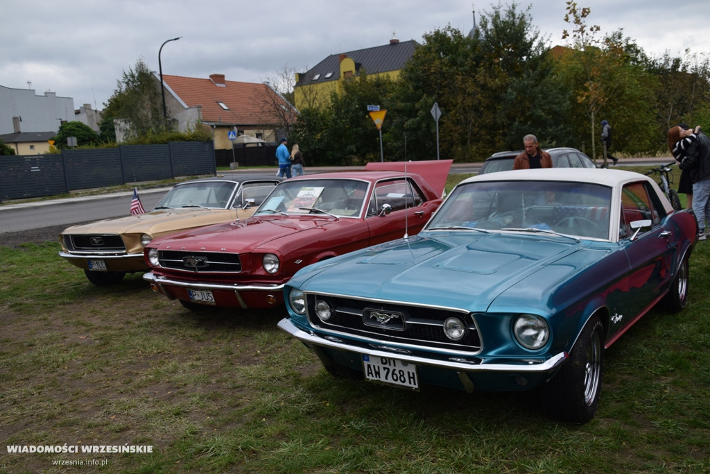Zlot fordów przy ul. Wrzosowej