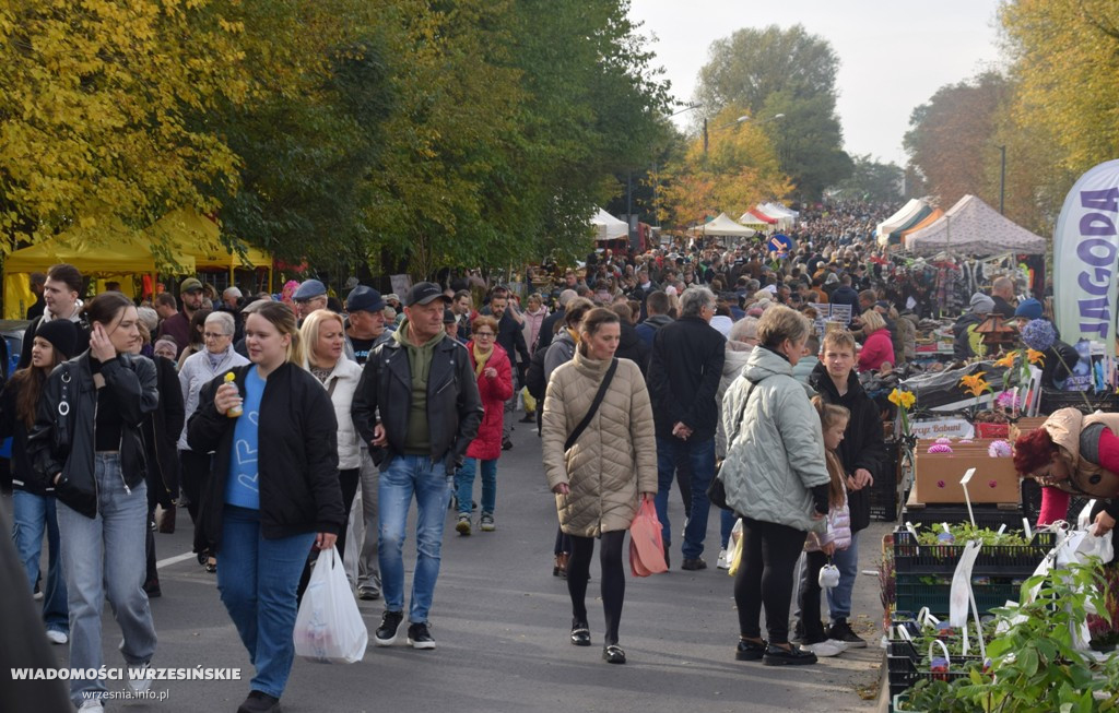 33. targi Rolnicza Jesień