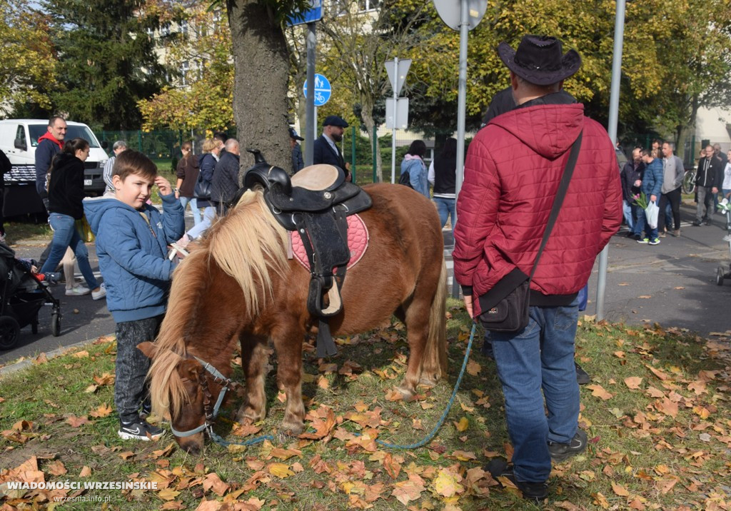 33. targi Rolnicza Jesień