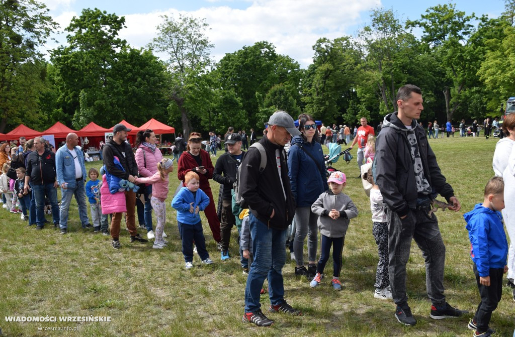 Strażacki piknik na Wrzosowej