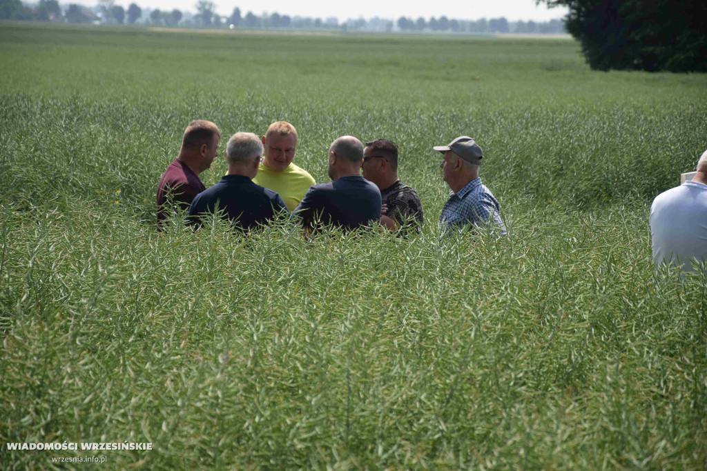 Dzień Pola w Sokolnikach