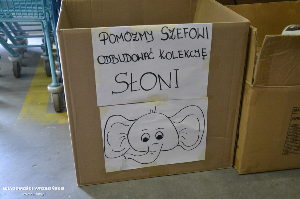 Ponowne otwarcie Bemagu po pożarze!