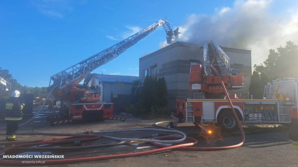 Pożar tartaku. Są bardzo duże straty [FOTO]