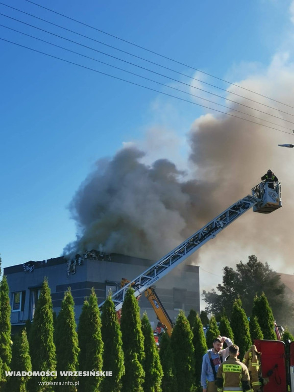 Pożar tartaku. Są bardzo duże straty [FOTO]