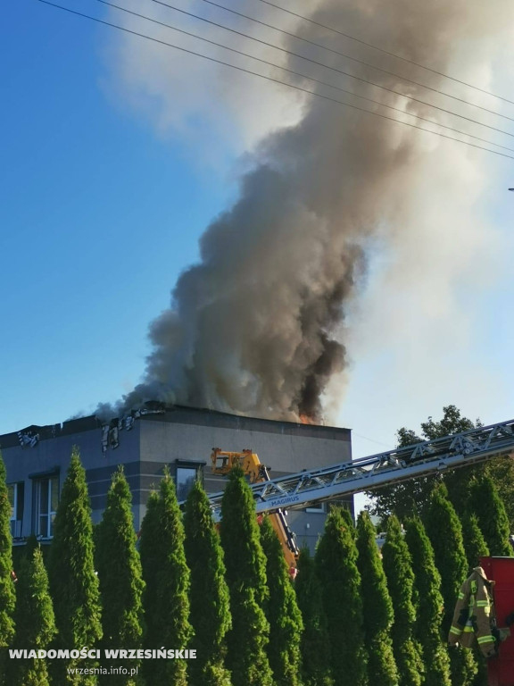 Pożar tartaku. Są bardzo duże straty [FOTO]