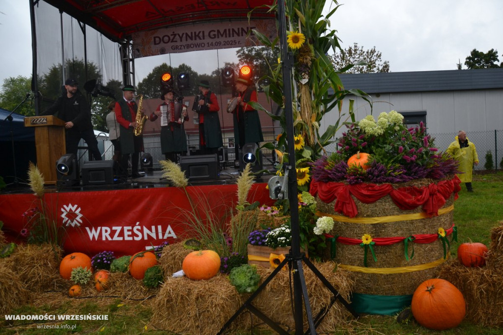 Dożynki Gminy Września 2025
