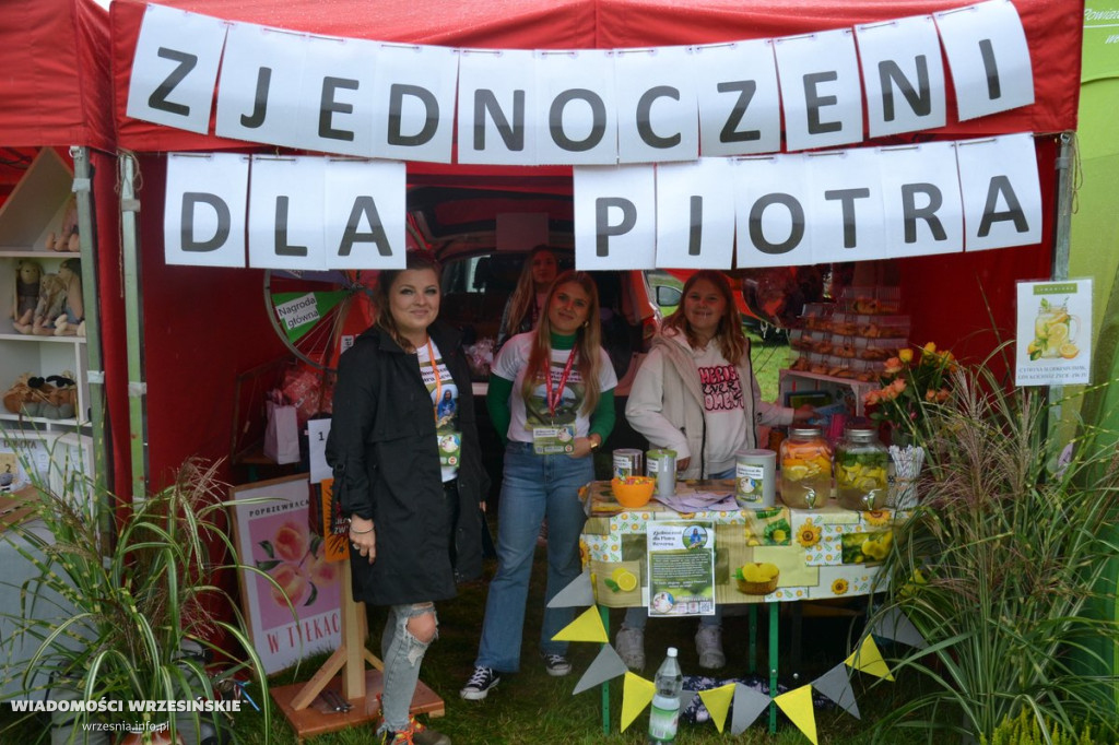 Dożynki Gminy Września 2025