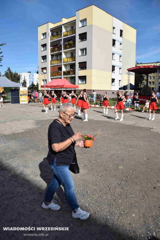 EKO-OZE Piknik WSM i Veoli