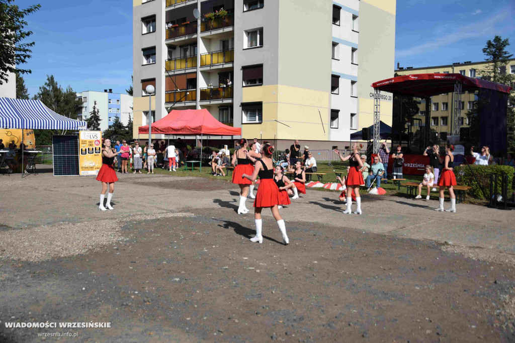 EKO-OZE Piknik WSM i Veoli