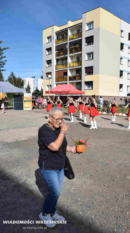 EKO-OZE Piknik WSM i Veoli