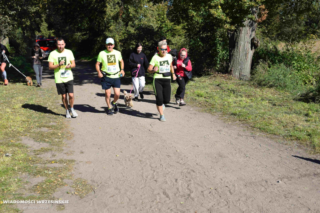 6. Bieg po Złote Runo w Gorazdowie