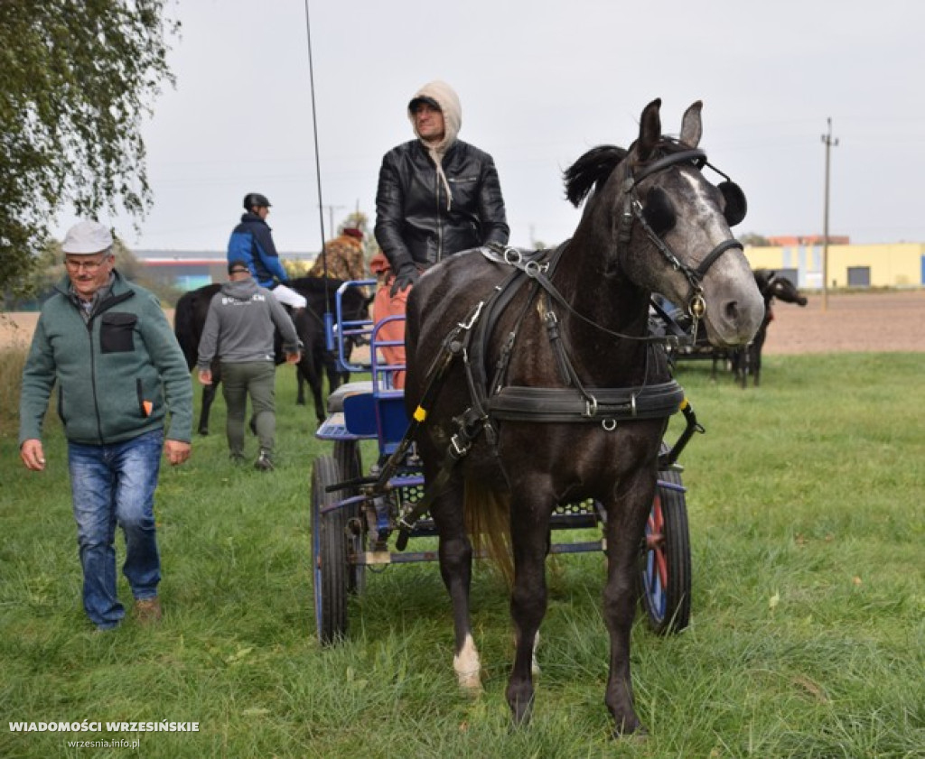Hubertus w Stajni Bierzglinek