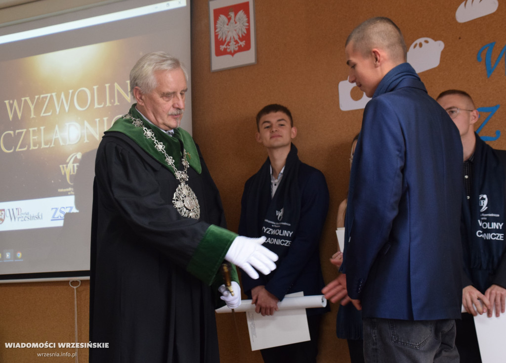 Wyzwoliny czeladnicze