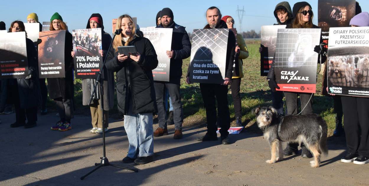 Spotkanie pod fermą norek w Kawęczynie