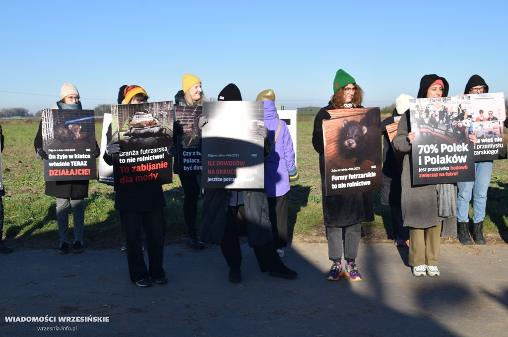 Spotkanie pod fermą norek w Kawęczynie