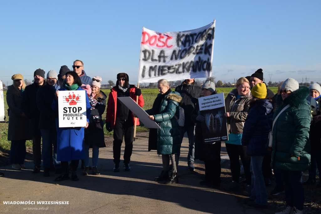Spotkanie pod fermą norek w Kawęczynie