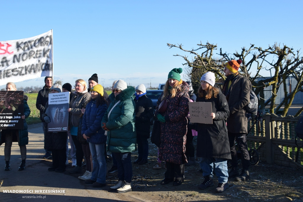 Spotkanie pod fermą norek w Kawęczynie