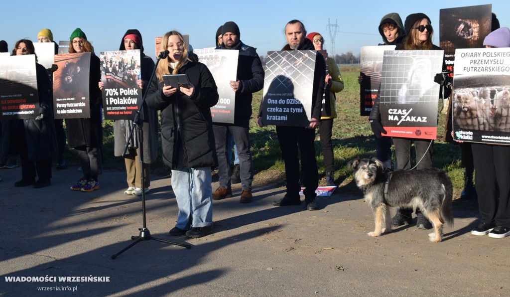 Spotkanie pod fermą norek w Kawęczynie