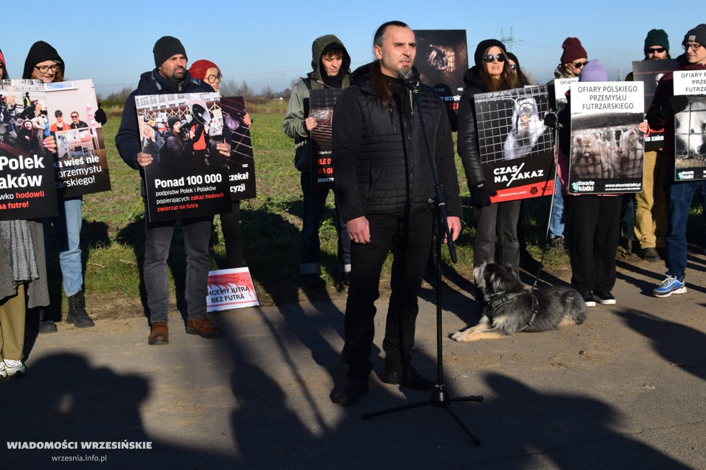 Spotkanie pod fermą norek w Kawęczynie