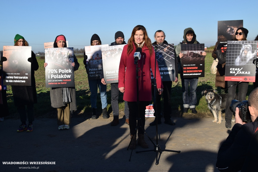 Spotkanie pod fermą norek w Kawęczynie