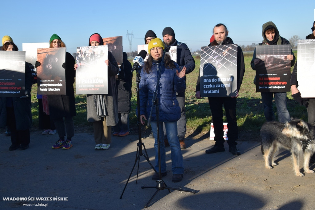 Spotkanie pod fermą norek w Kawęczynie