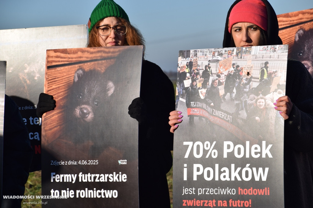 Spotkanie pod fermą norek w Kawęczynie