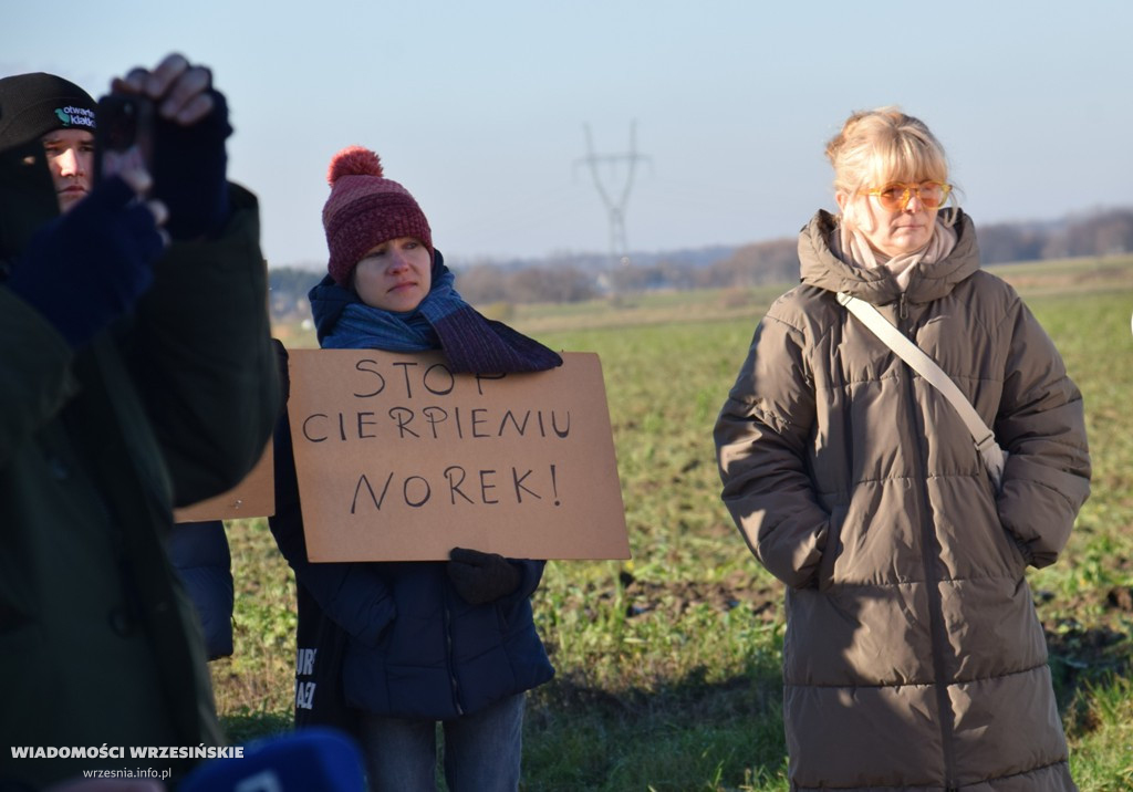 Spotkanie pod fermą norek w Kawęczynie